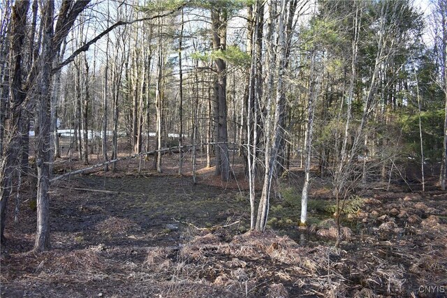 Holly Hole Rd, Constantia, NY 13044 - photo 4