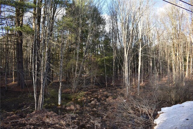 Holly Hole Rd, Constantia, NY 13044 - photo 5