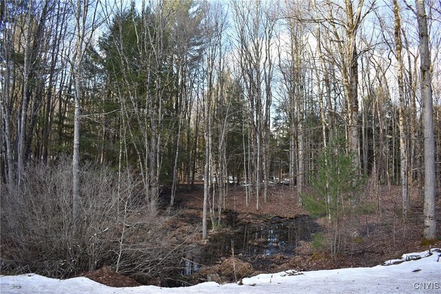 Holly Hole Rd, Constantia, NY 13044 - photo 6