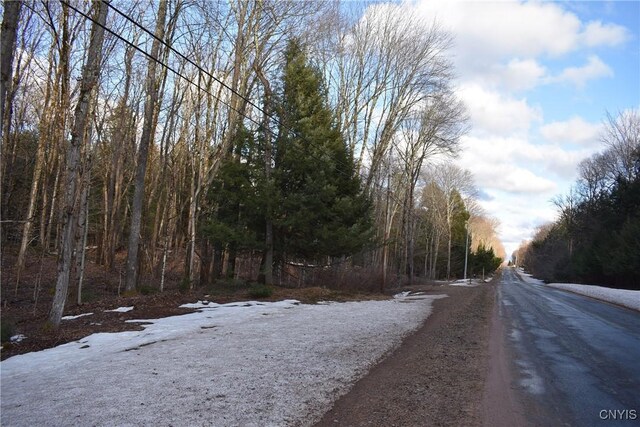 Holly Hole Rd, Constantia, NY 13044 - photo 7