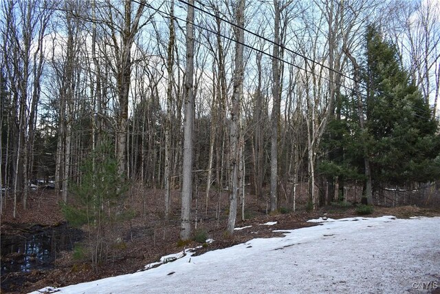 Holly Hole Rd, Constantia, NY 13044 - photo 8