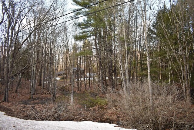 Holly Hole Rd, Constantia, NY 13044 - photo 9