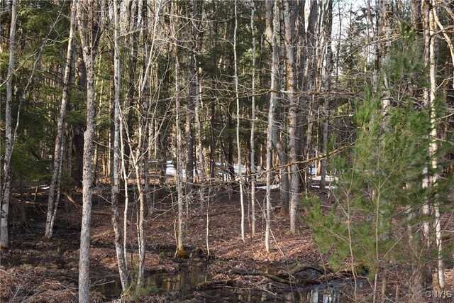 Holly Hole Rd, Constantia, NY 13044 - photo 10