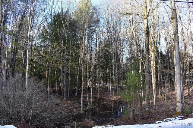 Holly Hole Rd, Constantia, NY 13044 - photo 11