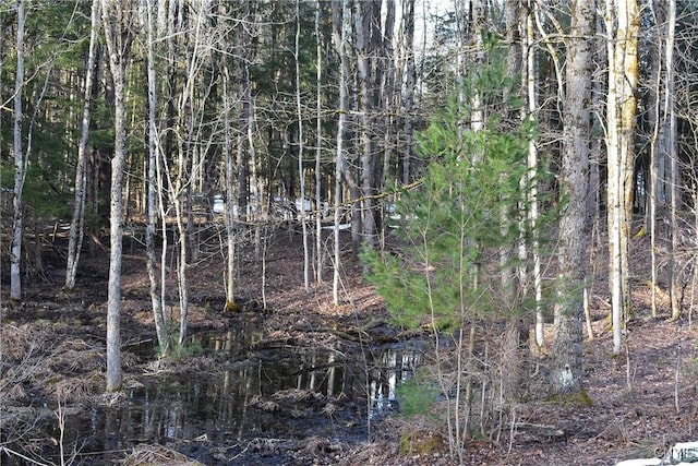 Holly Hole Rd, Constantia, NY 13044 - photo 12