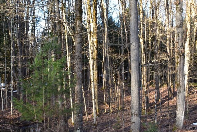 Holly Hole Rd, Constantia, NY 13044 - photo 13