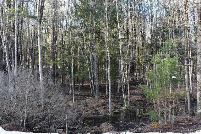 Holly Hole Rd, Constantia, NY 13044 - photo 14