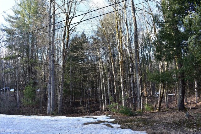 Holly Hole Rd, Constantia, NY 13044 - photo 16