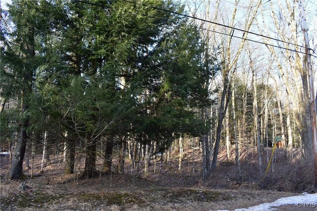 Holly Hole Rd, Constantia, NY 13044 - photo 17
