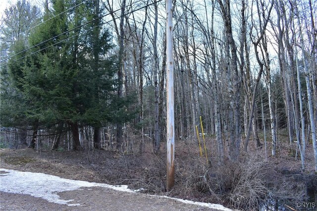 Holly Hole Rd, Constantia, NY 13044 - photo 19