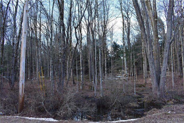 Holly Hole Rd, Constantia, NY 13044 - photo 20
