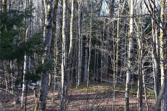 Holly Hole Rd, Constantia, NY 13044 - photo 21