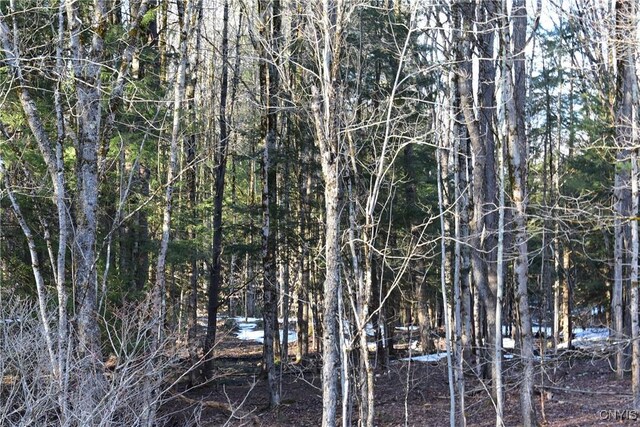 Holly Hole Rd, Constantia, NY 13044 - photo 22
