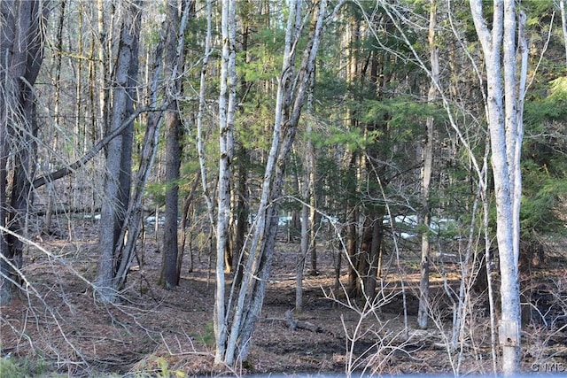 Holly Hole Rd, Constantia, NY 13044 - photo 1