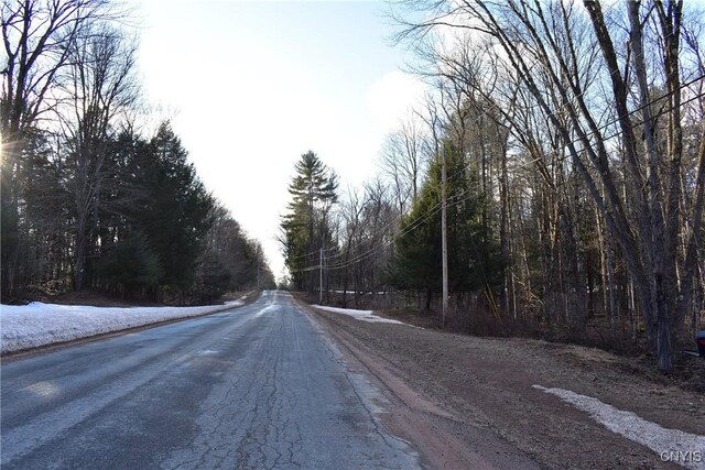 Holly Hole Rd, Constantia, NY 13044 - photo 24
