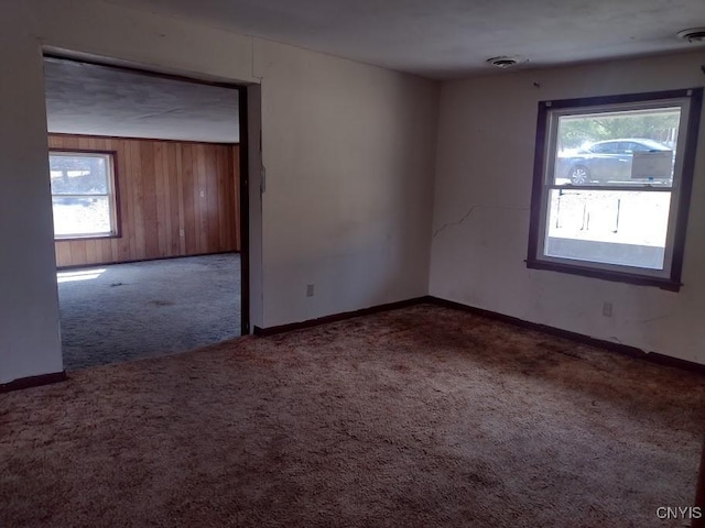 110 Pineview, Ithaca Town, NY 14850 - photo 9