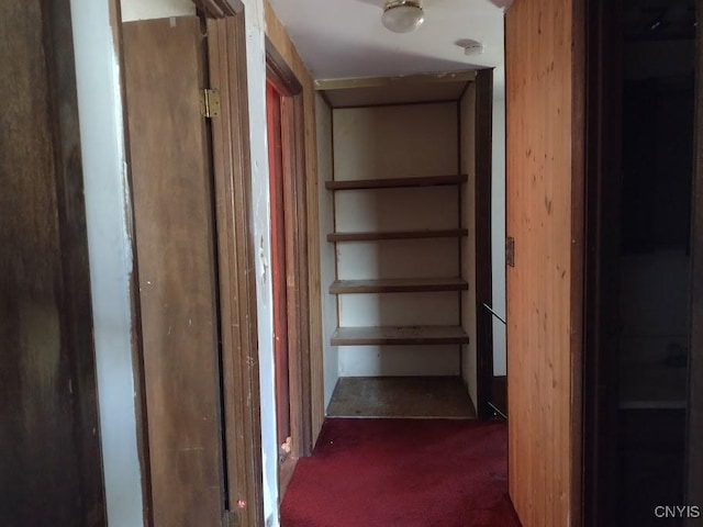 110 Pineview, Ithaca Town, NY 14850 - photo 14