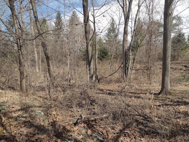 110 Pineview, Ithaca Town, NY 14850 - photo 23