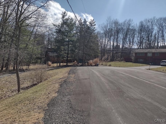 110 Pineview, Ithaca Town, NY 14850 - photo 26