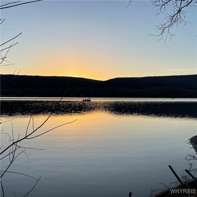 6235 SW Shr, Canadice, NY 14471 - water view