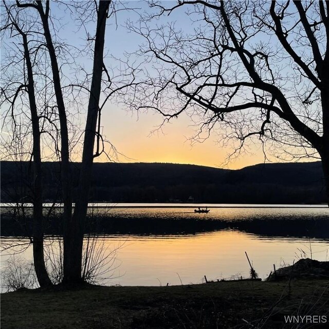 6235 SW Shr, Canadice, NY 14471 - water view
