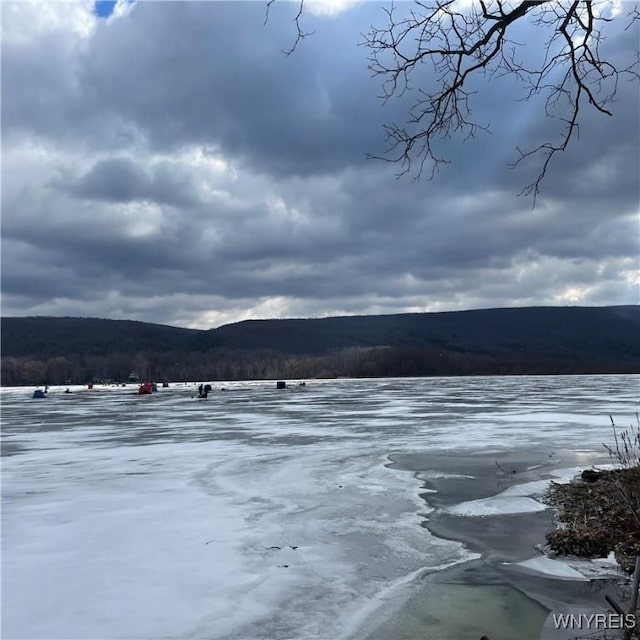 6235 SW Shr, Canadice, NY 14471 - water view with mountains