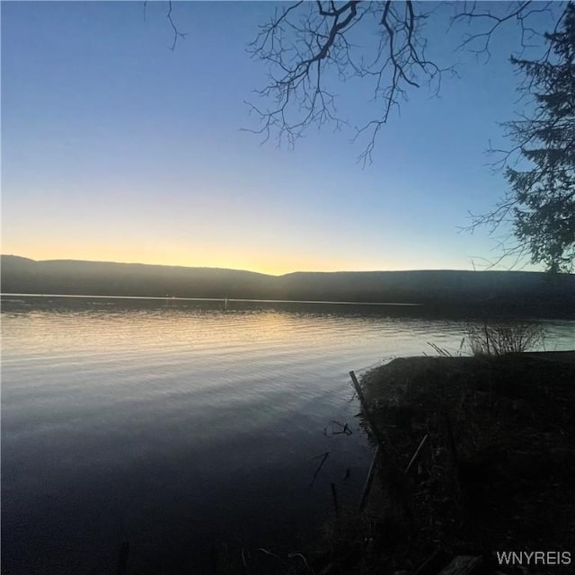 6235 SW Shr, Canadice, NY 14471 - water view