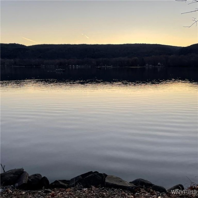 6235 SW Shr, Canadice, NY 14471 - water view with a mountainous background