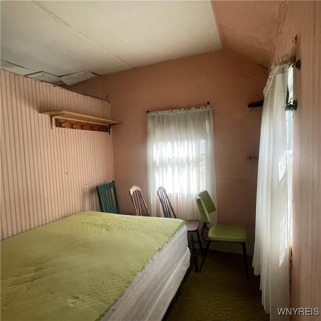 6235 SW Shr, Canadice, NY 14471 - bedroom with vaulted ceiling
