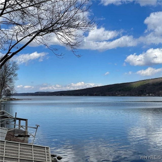 6235 SW Shr, Canadice, NY 14471 - water view