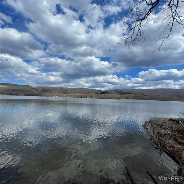 6235 SW Shr, Canadice, NY 14471 - water view