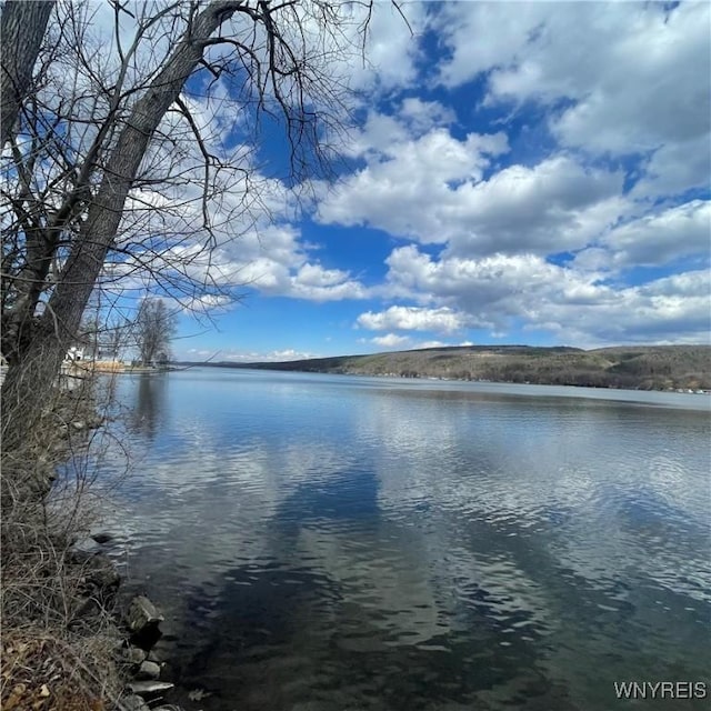 6235 SW Shr, Canadice, NY 14471 - water view