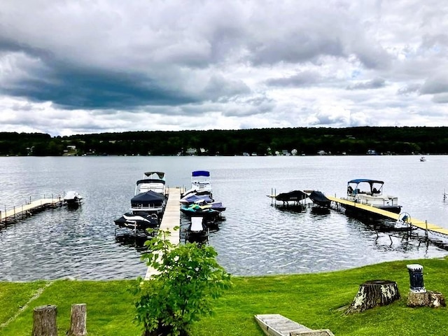 Listing photo 2 for 9471 Lakeshore Dr, Wayne NY 14840