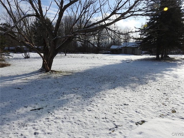 view of yard layered in snow