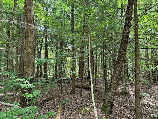 L1 California Rd, Vienna, NY 13316