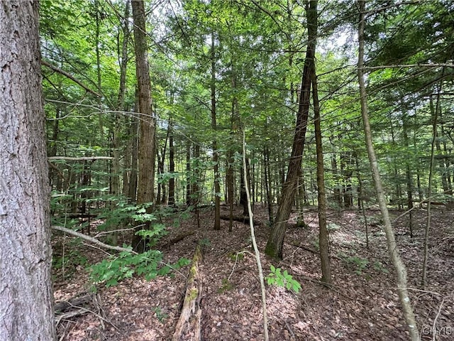 L1 California Rd, Vienna, NY 13316