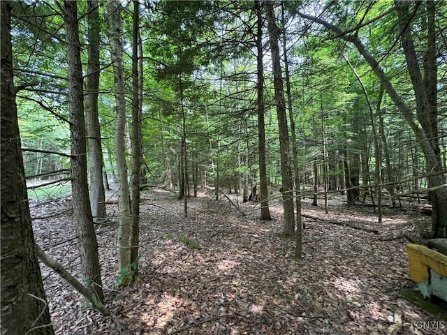 L1 California Rd, Vienna, NY 13316