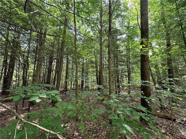 L1 California Rd, Vienna, NY 13316
