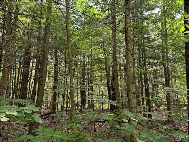 L1 California Rd, Vienna, NY 13316