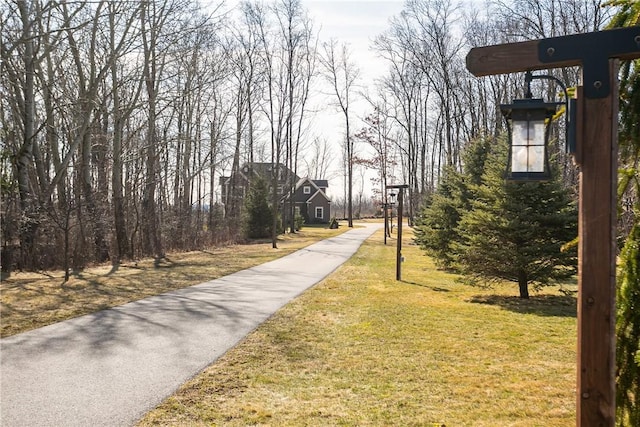 5027 Wyffels Rd, Canandaigua-Town, NY 14424 - view of community with a yard