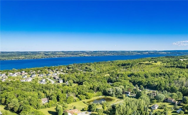 5027 Wyffels Rd, Canandaigua-Town, NY 14424 - bird's eye view featuring a water view and a wooded view
