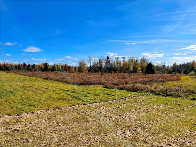 2192 State Route 8, Ohio, NY 13324 - view of local wilderness