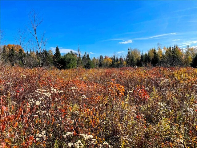 2192 State Route 8, Ohio, NY 13324 - view of local wilderness