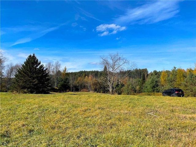 2192 State Route 8, Ohio, NY 13324 - view of yard featuring a view of trees