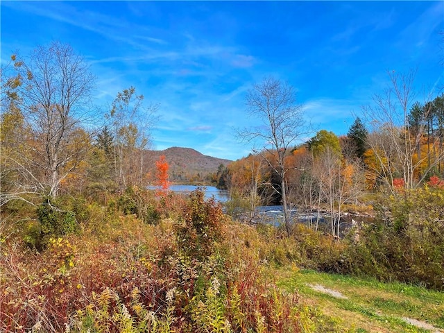 2192 State Route 8, Ohio, NY 13324 - mountain view with a wooded view and a water view