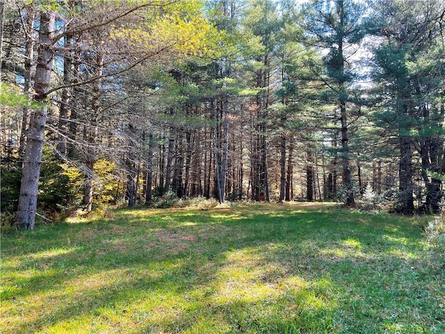 2192 State Route 8, Ohio, NY 13324 - view of yard with a wooded view