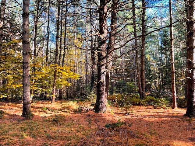 2192 State Route 8, Ohio, NY 13324 - view of nature with a view of trees