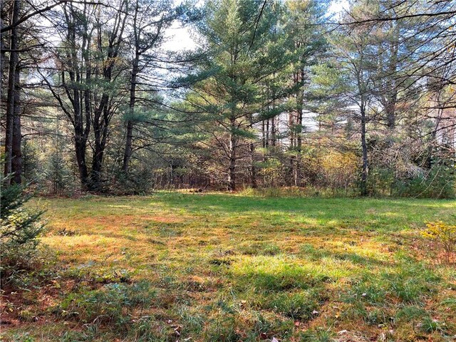 2192 State Route 8, Ohio, NY 13324 - view of yard featuring a wooded view