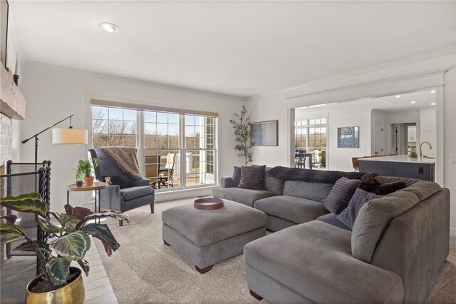 living area with a fireplace, carpet, and crown molding