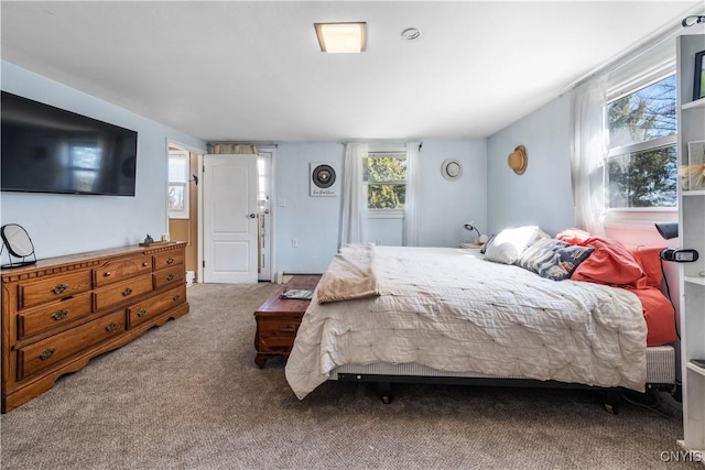 1905 Stump Rd, Skaneateles, NY 13108 - bedroom featuring carpet flooring